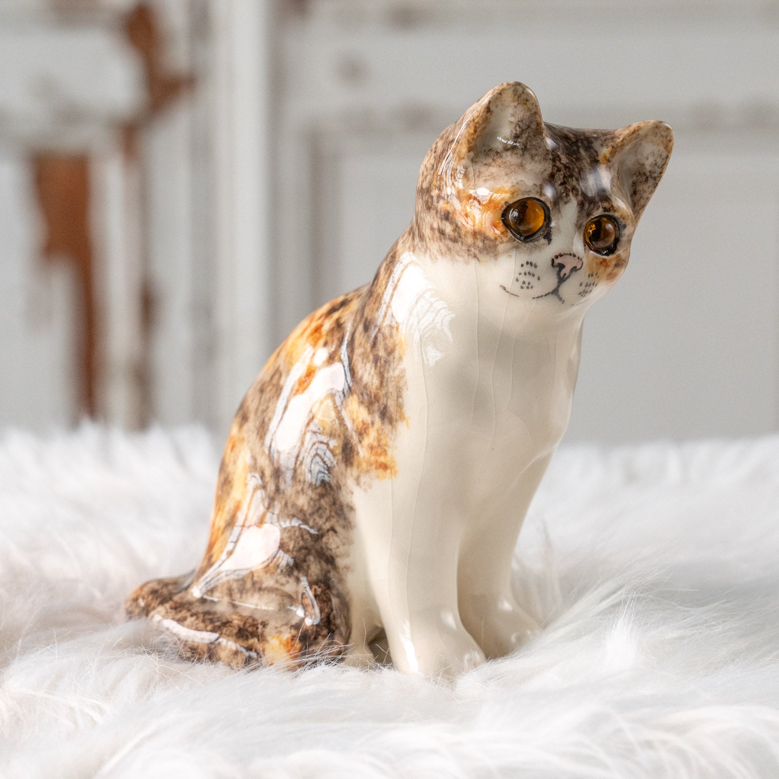 Winstanley Cat ウィンスタンレイ キャット】こちらを警戒してる表情が