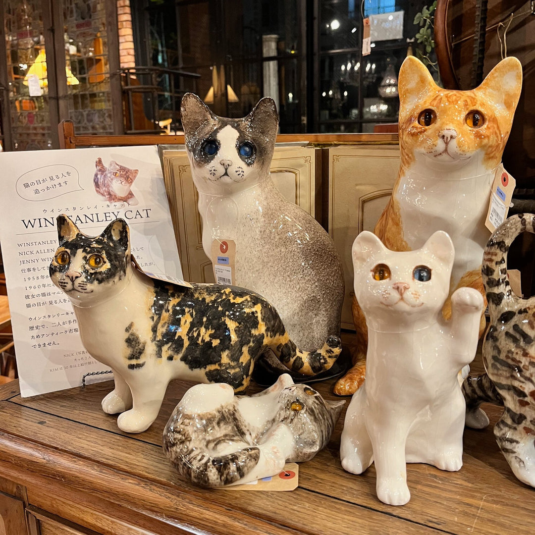 猫の日に…ウィンスタンレイキャットがたくさんございます！