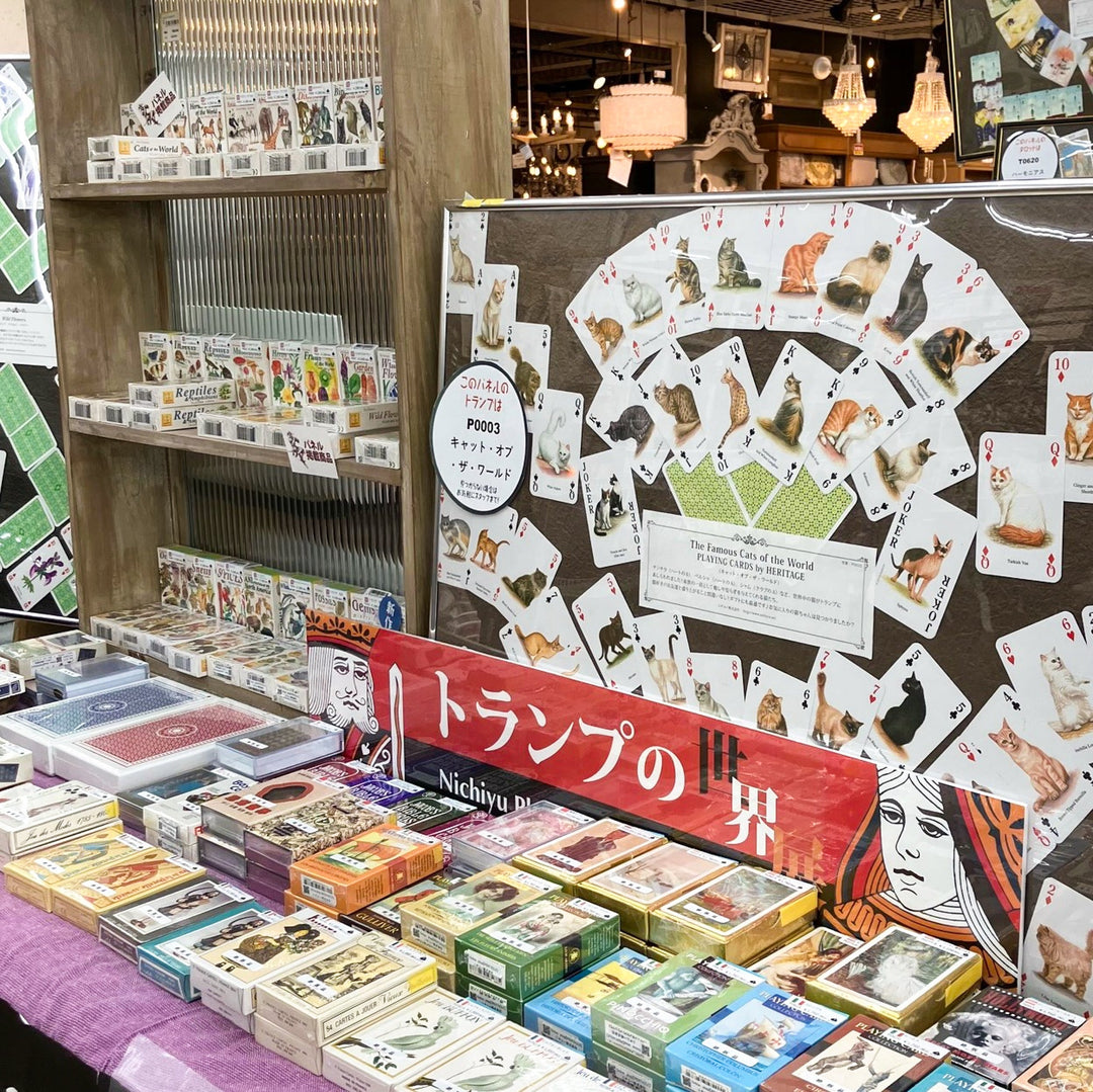 「世界のトランプ・タロット展」を開催中！3月8日(日)まで！