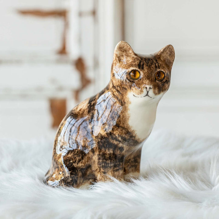 【Winstanley Cat ウィンスタンレイ キャット】◇きりっとした瞳でこちらを見つめる Brown tabby ブラウンタビー /23A [m]