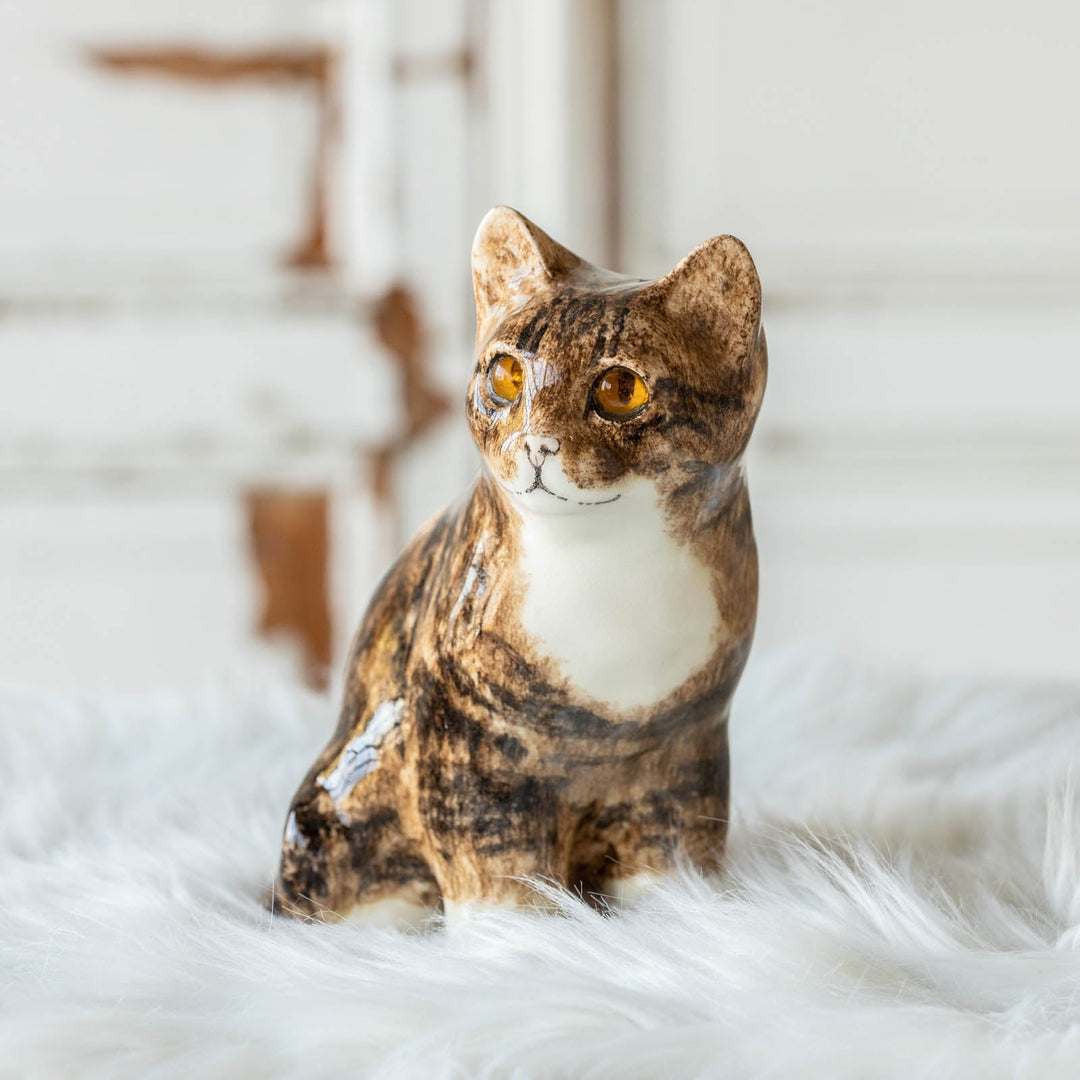 【Winstanley Cat ウィンスタンレイ キャット】◇きりっとした瞳でこちらを見つめる Brown tabby ブラウンタビー /23A [m]