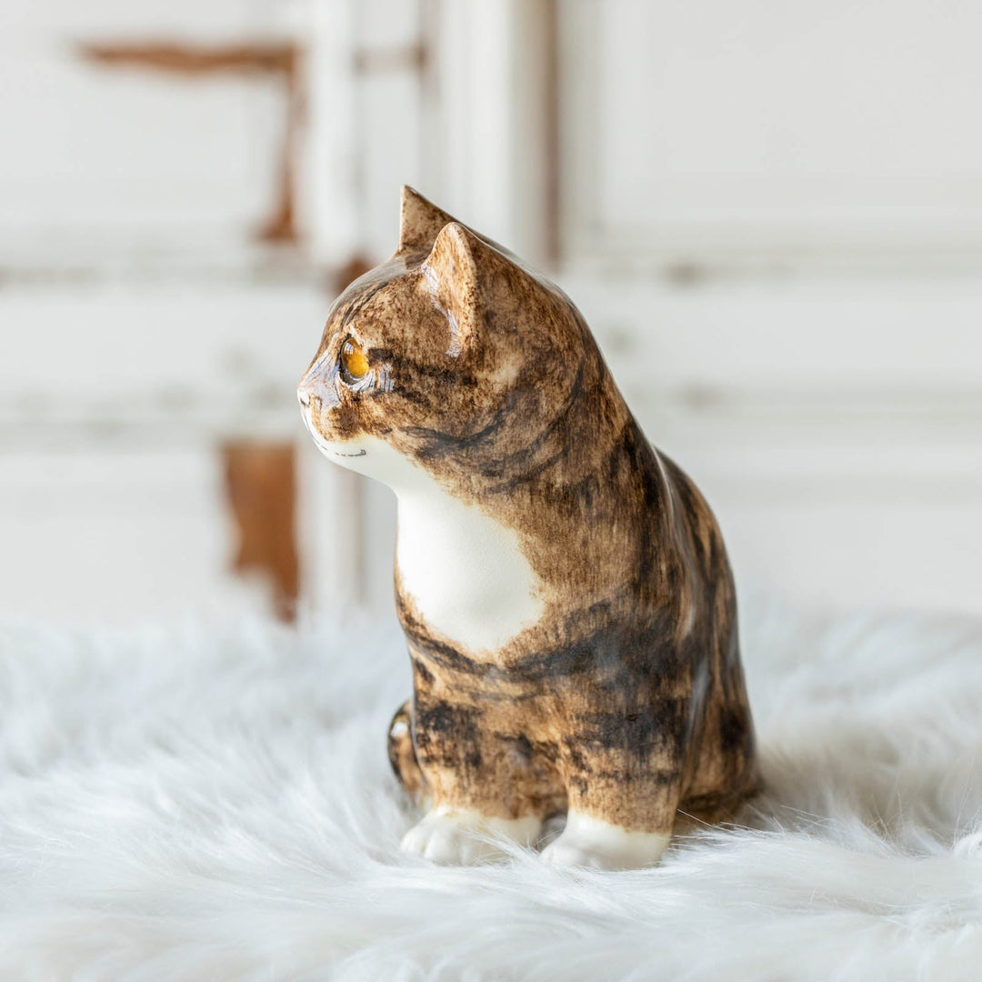 【Winstanley Cat ウィンスタンレイ キャット】◇きりっとした瞳でこちらを見つめる Brown tabby ブラウンタビー /23A [m]