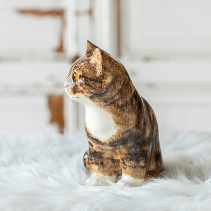 【Winstanley Cat ウィンスタンレイ キャット】◇きりっとした瞳でこちらを見つめる Brown tabby ブラウンタビー /23A [m]