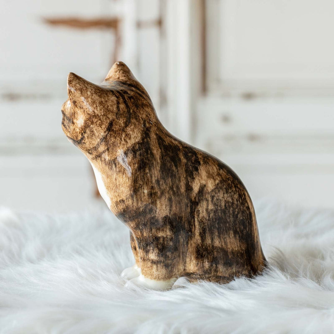 【Winstanley Cat ウィンスタンレイ キャット】◇きりっとした瞳でこちらを見つめる Brown tabby ブラウンタビー /23A [m]