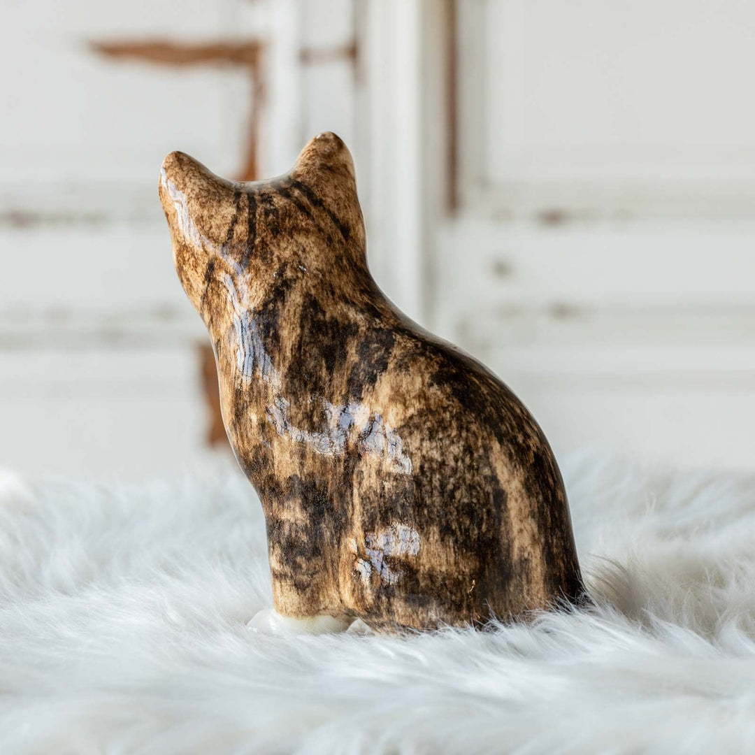【Winstanley Cat ウィンスタンレイ キャット】◇きりっとした瞳でこちらを見つめる Brown tabby ブラウンタビー /23A [m]