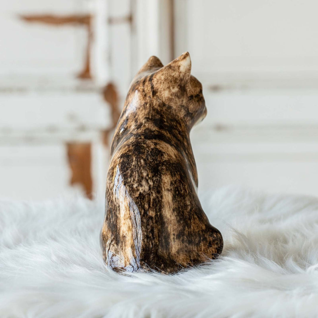 【Winstanley Cat ウィンスタンレイ キャット】◇きりっとした瞳でこちらを見つめる Brown tabby ブラウンタビー /23A [m]