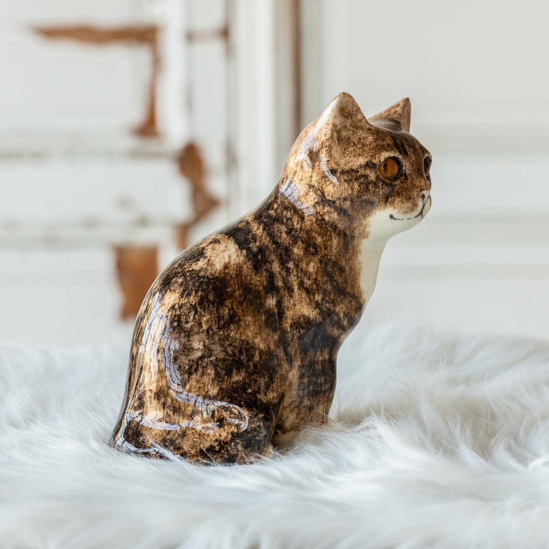 【Winstanley Cat ウィンスタンレイ キャット】◇きりっとした瞳でこちらを見つめる Brown tabby ブラウンタビー /23A [m]