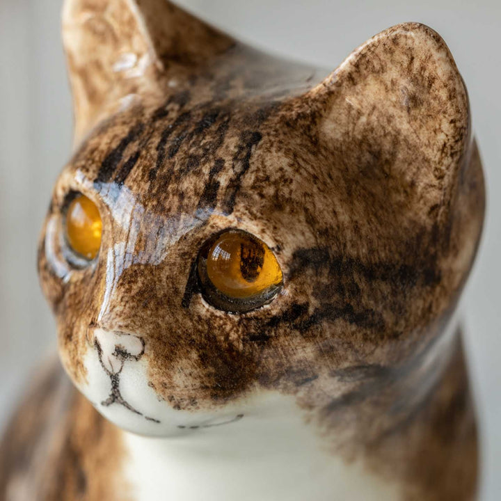 【Winstanley Cat ウィンスタンレイ キャット】◇きりっとした瞳でこちらを見つめる Brown tabby ブラウンタビー /23A [m]