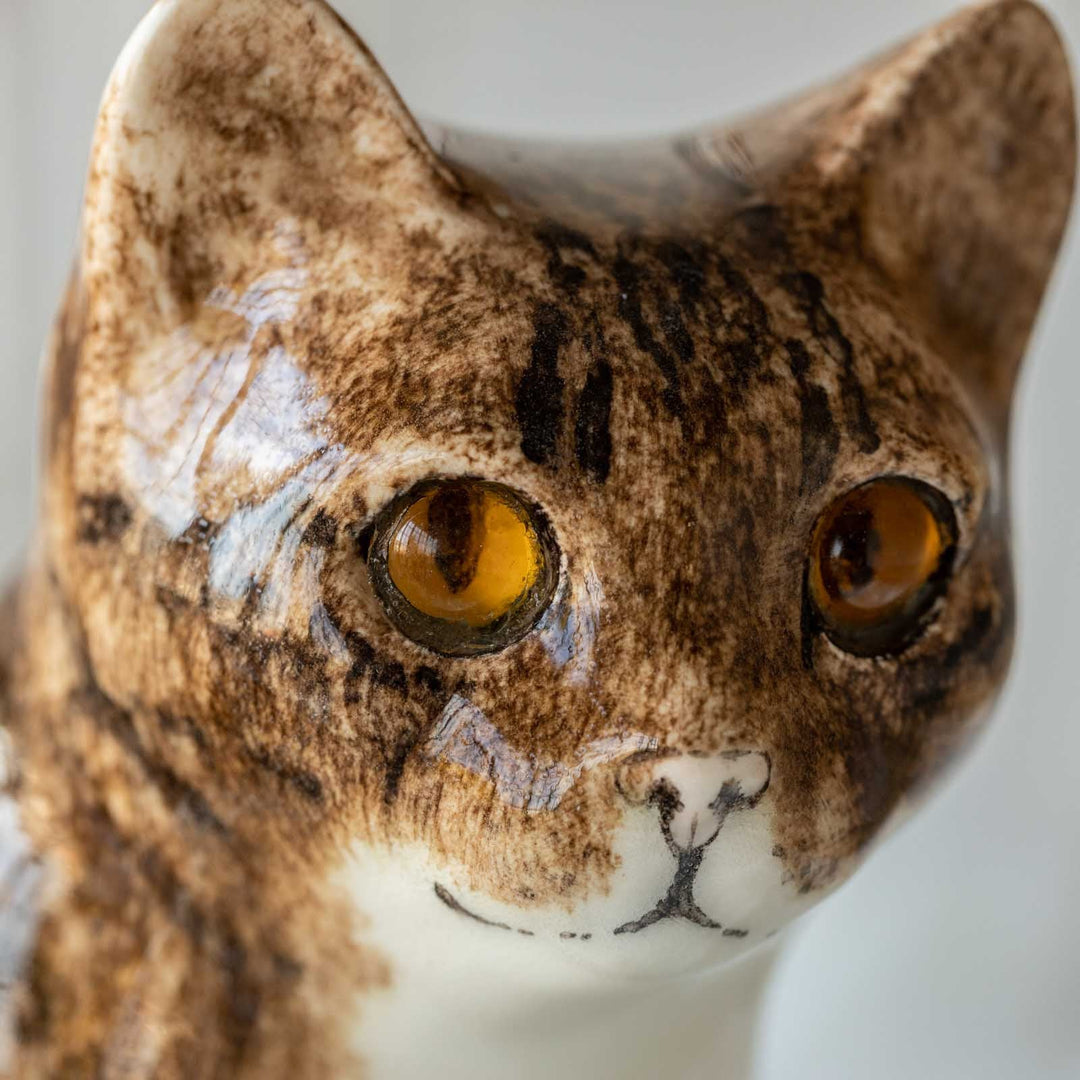 【Winstanley Cat ウィンスタンレイ キャット】◇きりっとした瞳でこちらを見つめる Brown tabby ブラウンタビー /23A [m]