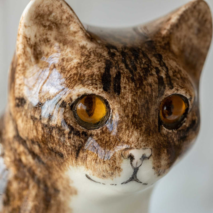 【Winstanley Cat ウィンスタンレイ キャット】◇きりっとした瞳でこちらを見つめる Brown tabby ブラウンタビー /23A [m]