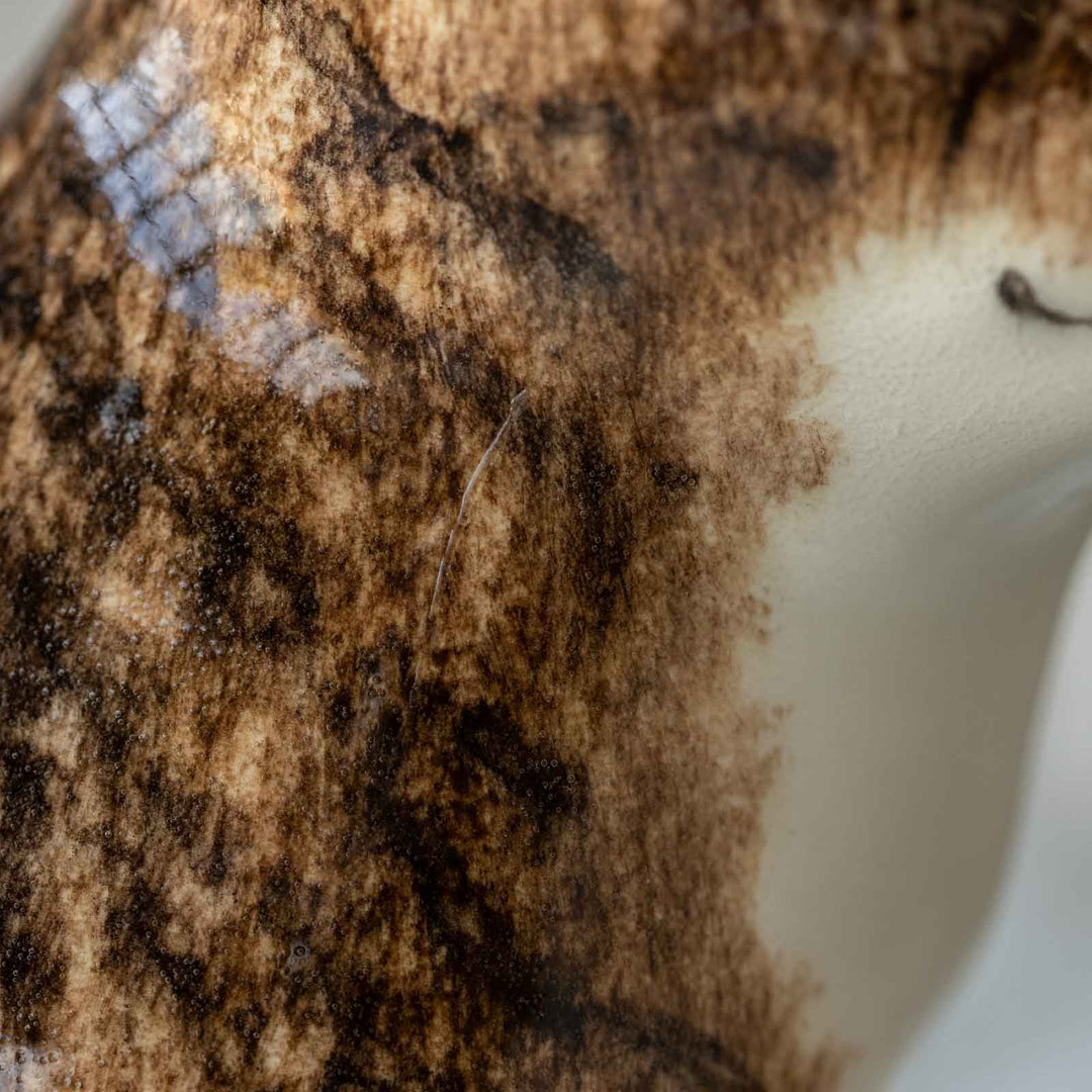 【Winstanley Cat ウィンスタンレイ キャット】◇きりっとした瞳でこちらを見つめる Brown tabby ブラウンタビー /23A [m]
