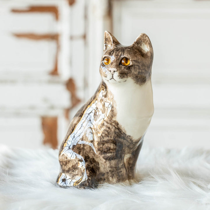 【Winstanley Cat ウィンスタンレイ キャット】◇遠くを見つめる眼差しがかっこいい Brown tabby ブラウンタビー /23A [m]