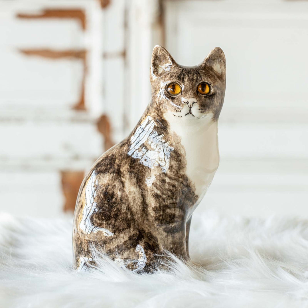 【Winstanley Cat ウィンスタンレイ キャット】◇遠くを見つめる眼差しがかっこいい Brown tabby ブラウンタビー /23A [m]