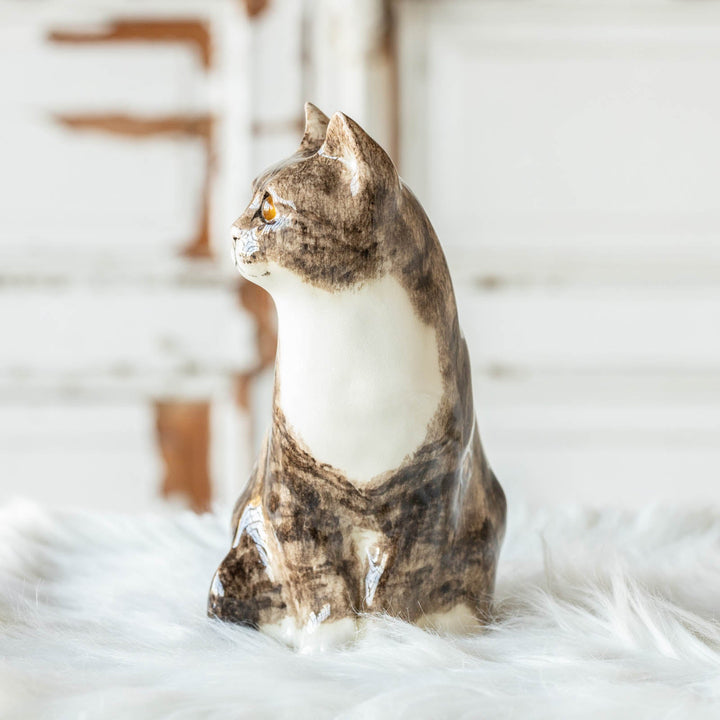 【Winstanley Cat ウィンスタンレイ キャット】◇遠くを見つめる眼差しがかっこいい Brown tabby ブラウンタビー /23A [m]