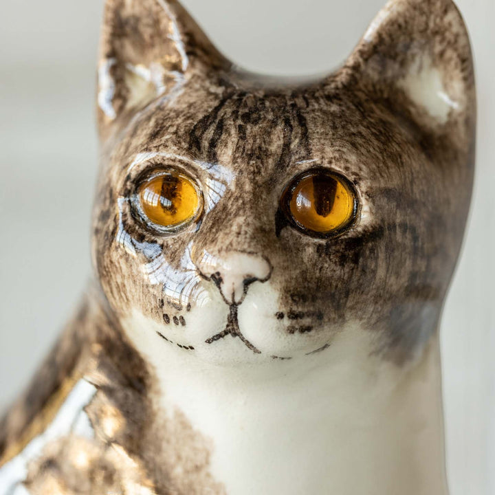 【Winstanley Cat ウィンスタンレイ キャット】◇遠くを見つめる眼差しがかっこいい Brown tabby ブラウンタビー /23A [m]
