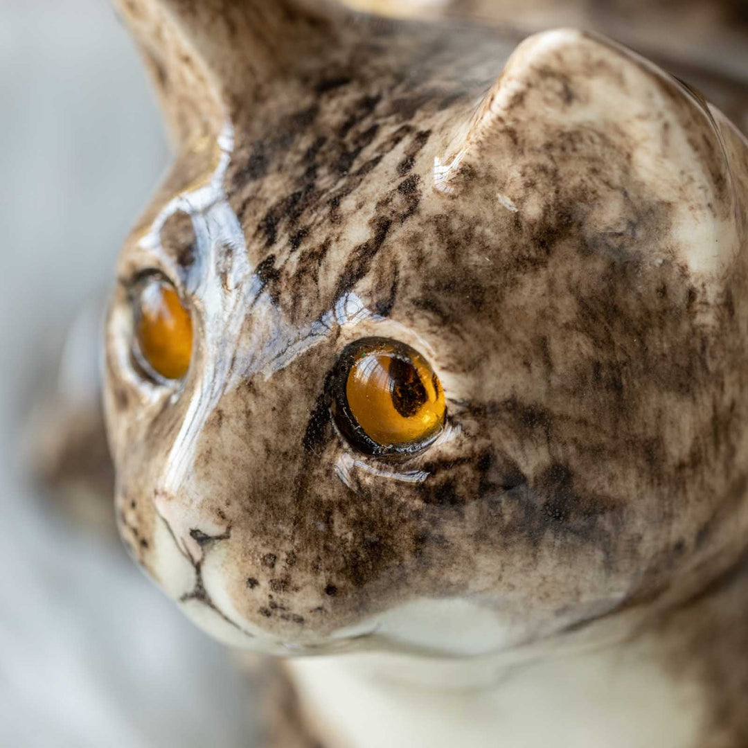 【Winstanley Cat ウィンスタンレイ キャット】◇ぽってりとした背中のフォルムが可愛い Brown tabby ブラウンタビー /23A [m]
