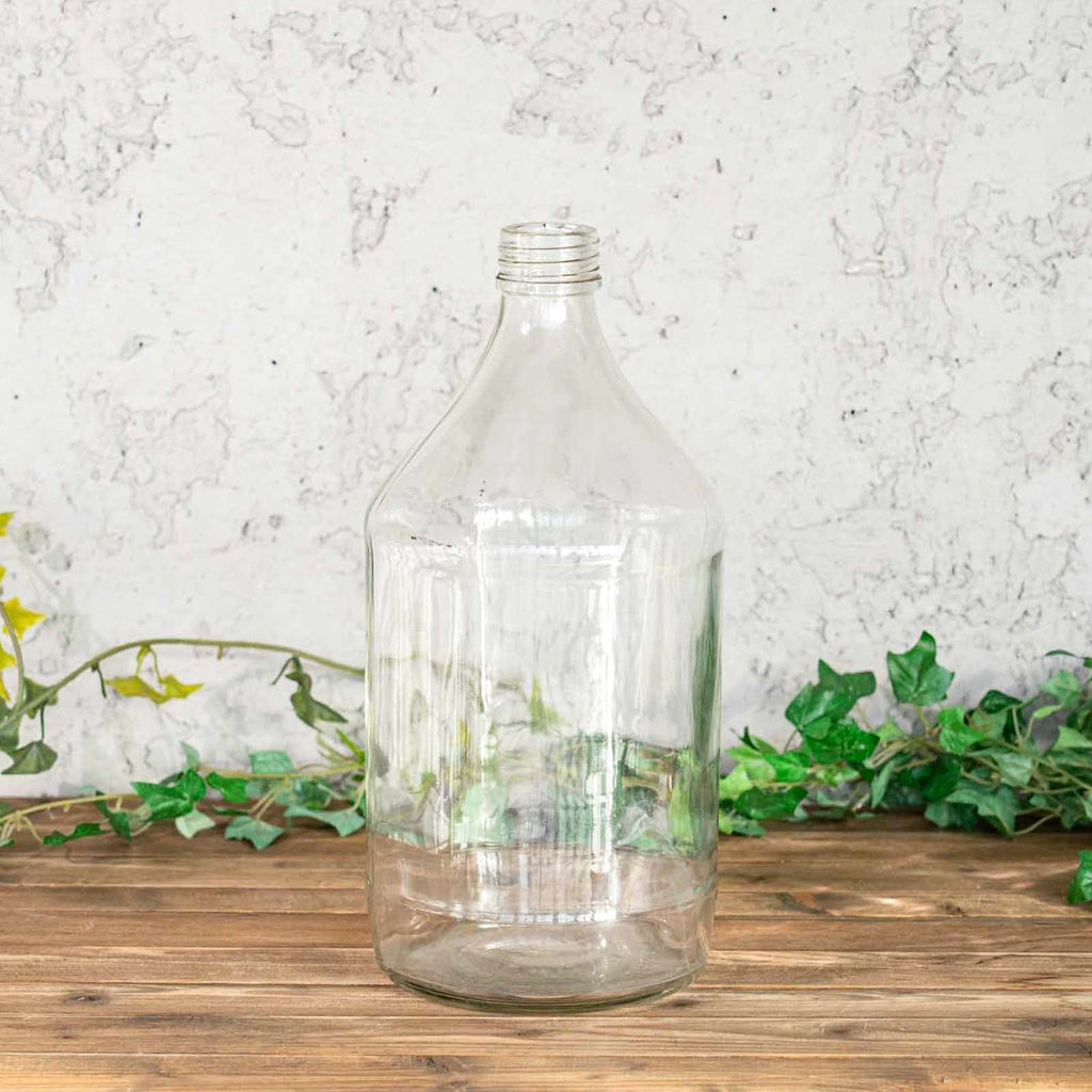 クリアガラスの揺らめきが美しくディスプレイやインテリアとしても絵に