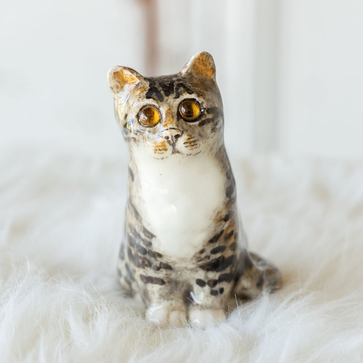 【Winstanley Cat ウィンスタンレイ キャット】◇つぶらな瞳でじっと見つめる Brown tabby ブラウンタビー /23G-A[m]