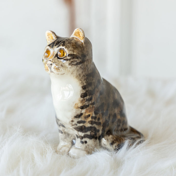 【Winstanley Cat ウィンスタンレイ キャット】◇つぶらな瞳でじっと見つめる Brown tabby ブラウンタビー /23G-A[m]