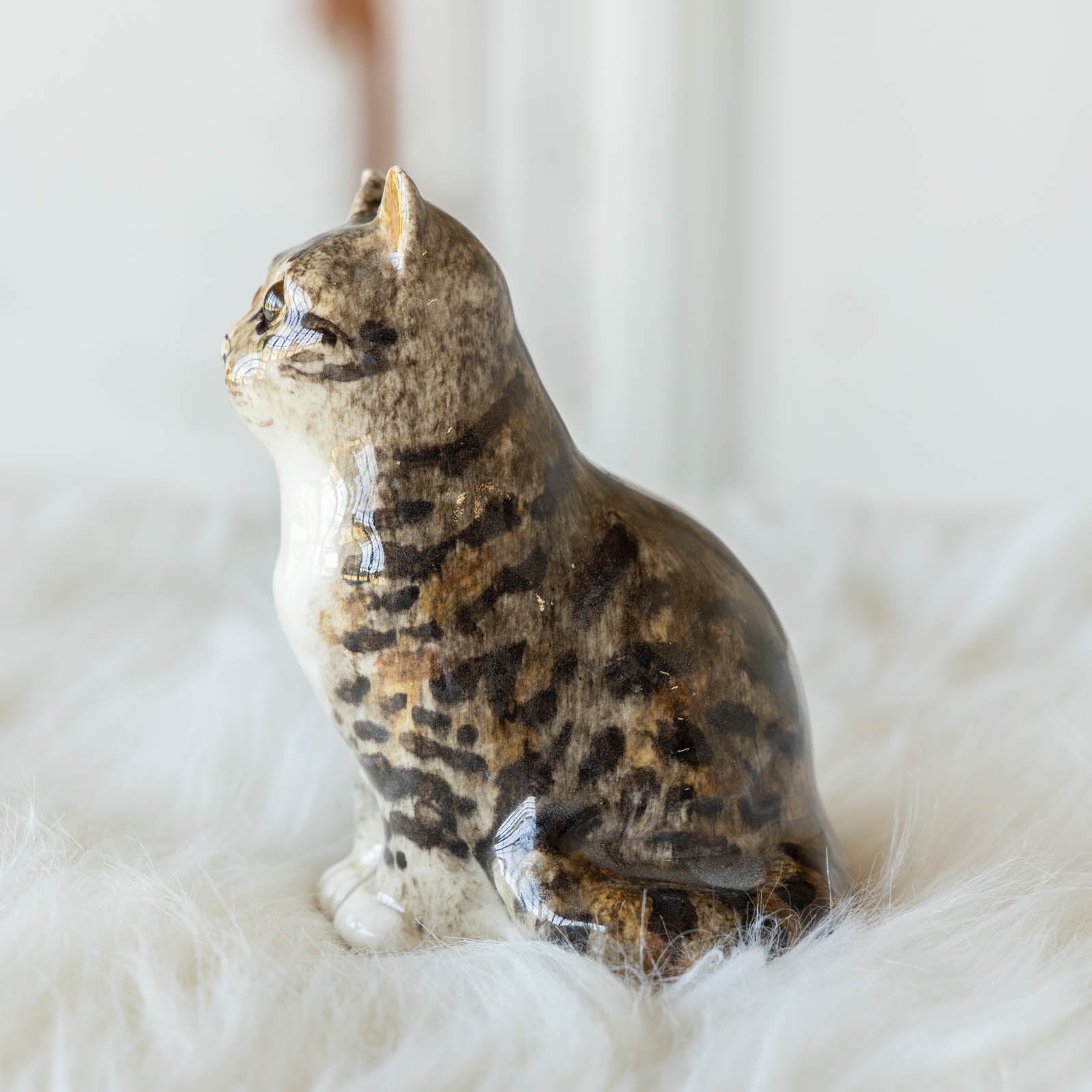 Winstanley Cat ウィンスタンレイ キャット】つぶらな瞳でじっと