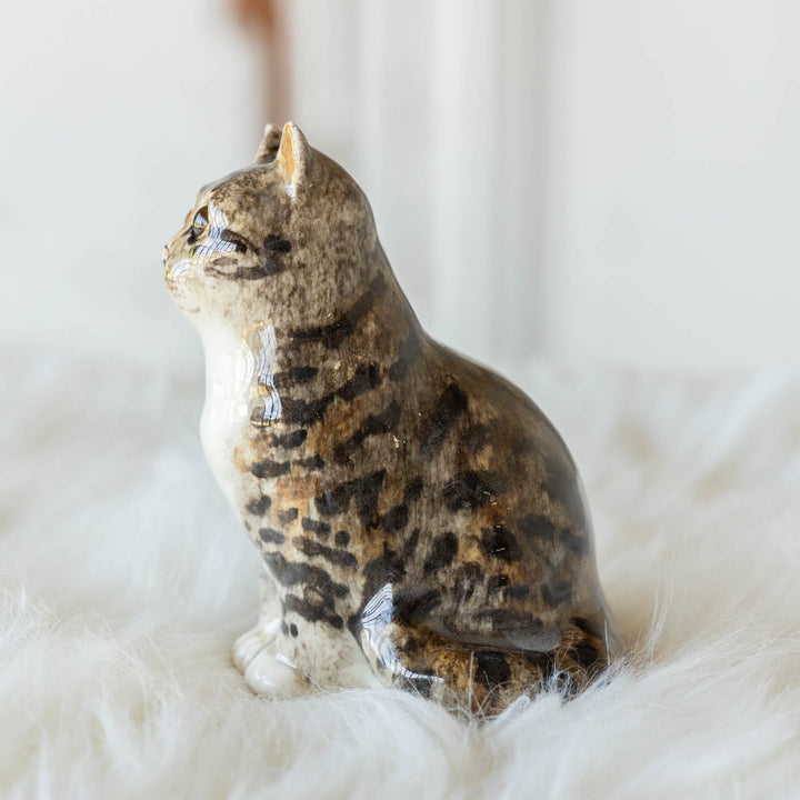 【Winstanley Cat ウィンスタンレイ キャット】◇つぶらな瞳でじっと見つめる Brown tabby ブラウンタビー /23G-A[m]
