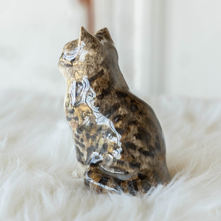 【Winstanley Cat ウィンスタンレイ キャット】◇つぶらな瞳でじっと見つめる Brown tabby ブラウンタビー /23G-A[m]