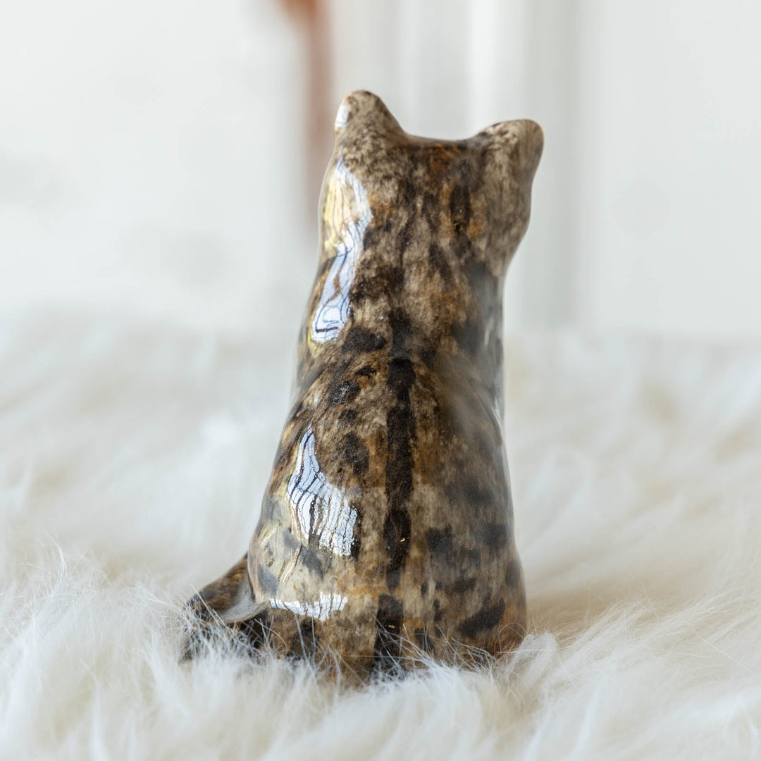 【Winstanley Cat ウィンスタンレイ キャット】◇つぶらな瞳でじっと見つめる Brown tabby ブラウンタビー /23G-A[m]