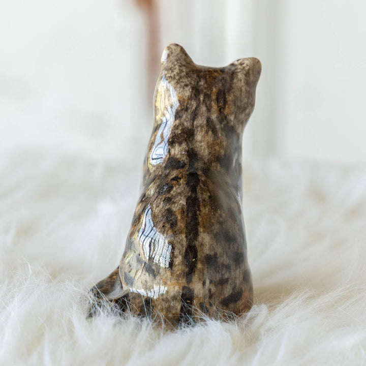 【Winstanley Cat ウィンスタンレイ キャット】◇つぶらな瞳でじっと見つめる Brown tabby ブラウンタビー /23G-A[m]