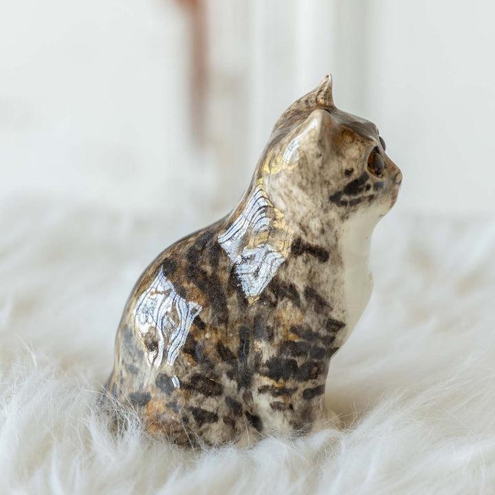 【Winstanley Cat ウィンスタンレイ キャット】◇つぶらな瞳でじっと見つめる Brown tabby ブラウンタビー /23G-A[m]