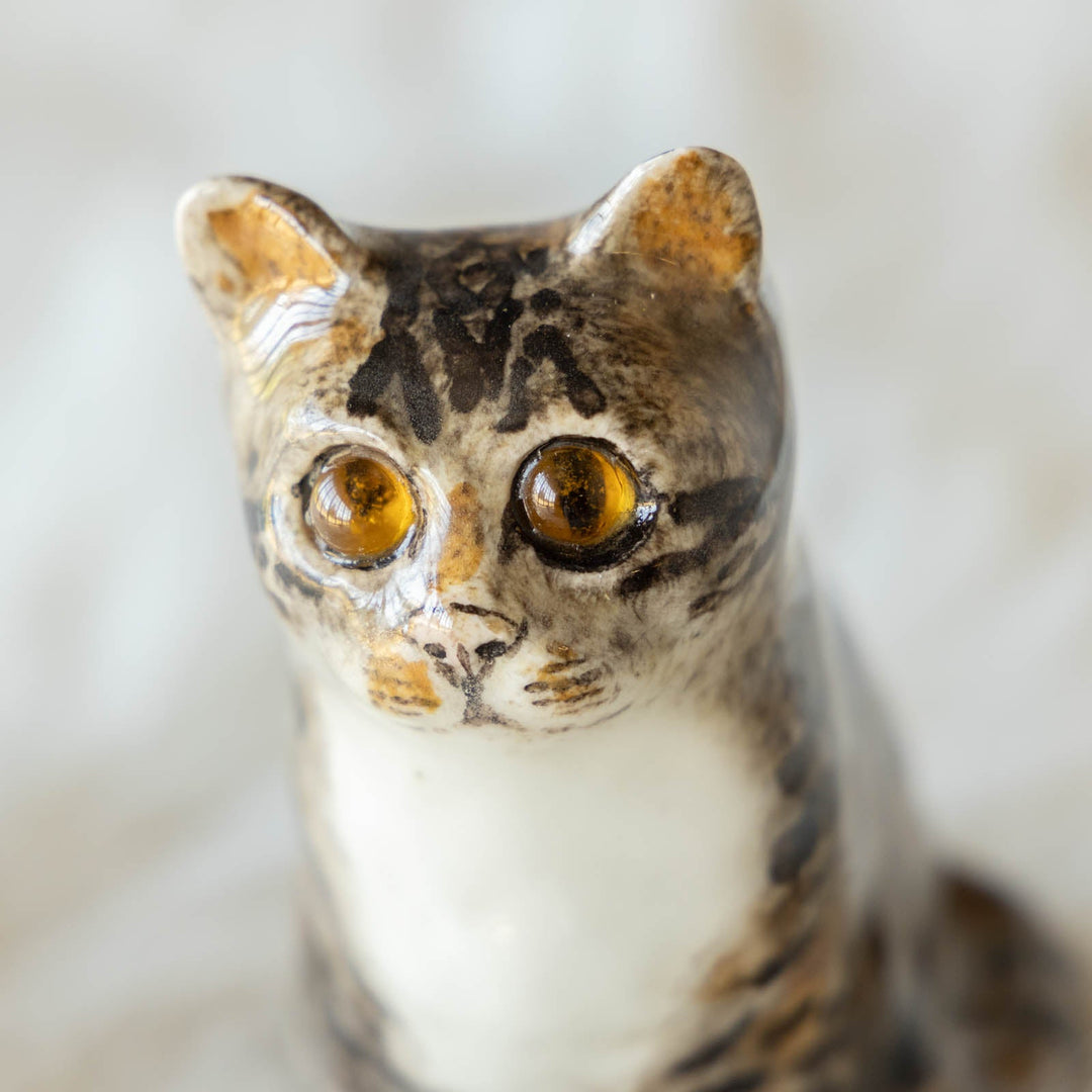 【Winstanley Cat ウィンスタンレイ キャット】◇つぶらな瞳でじっと見つめる Brown tabby ブラウンタビー /23G-A[m]