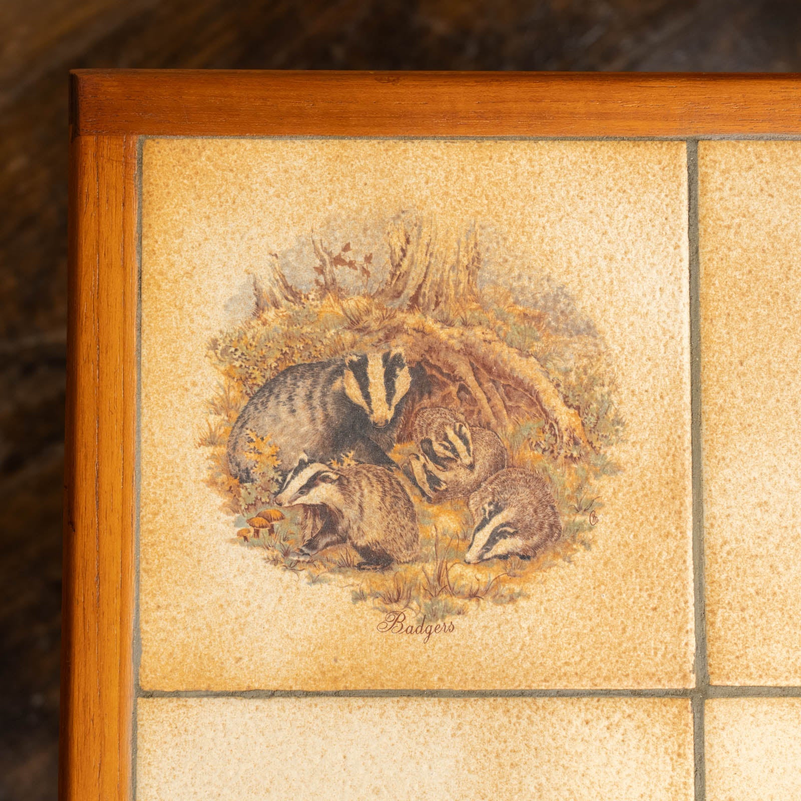 タイルに描かれた動物たちのイラストが可愛らしい ラダーラック付き