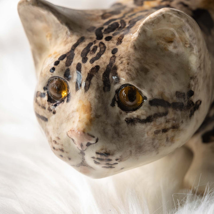 【Winstanley Cat ウィンスタンレイ キャット】◇キラキラした瞳で獲物を狙う姿を表現 Bengal ベンガル /23J[m]