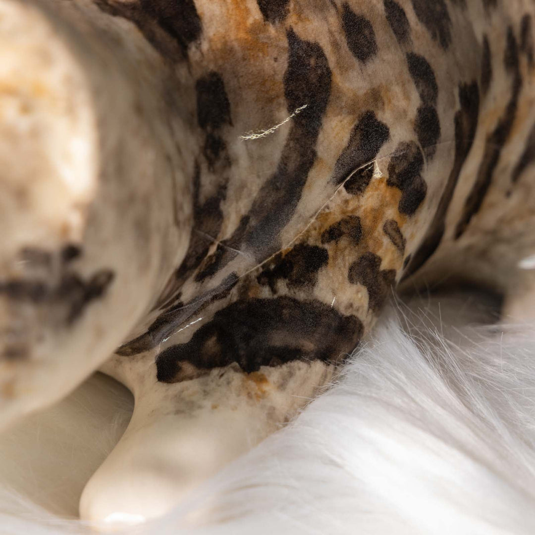 【Winstanley Cat ウィンスタンレイ キャット】◇キラキラした瞳で獲物を狙う姿を表現 Bengal ベンガル /23J[m]