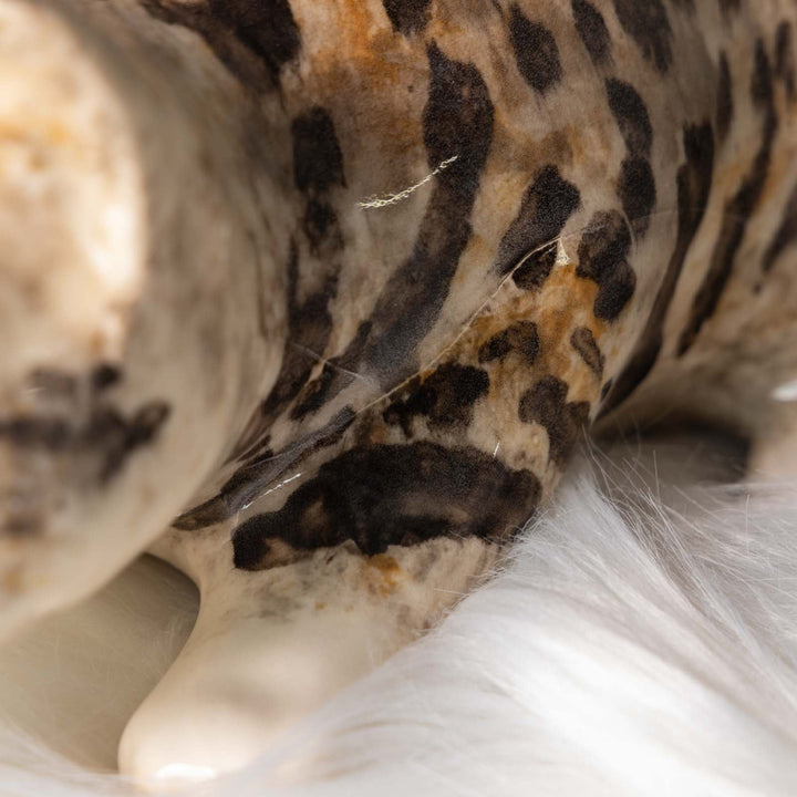 【Winstanley Cat ウィンスタンレイ キャット】◇キラキラした瞳で獲物を狙う姿を表現 Bengal ベンガル /23J[m]