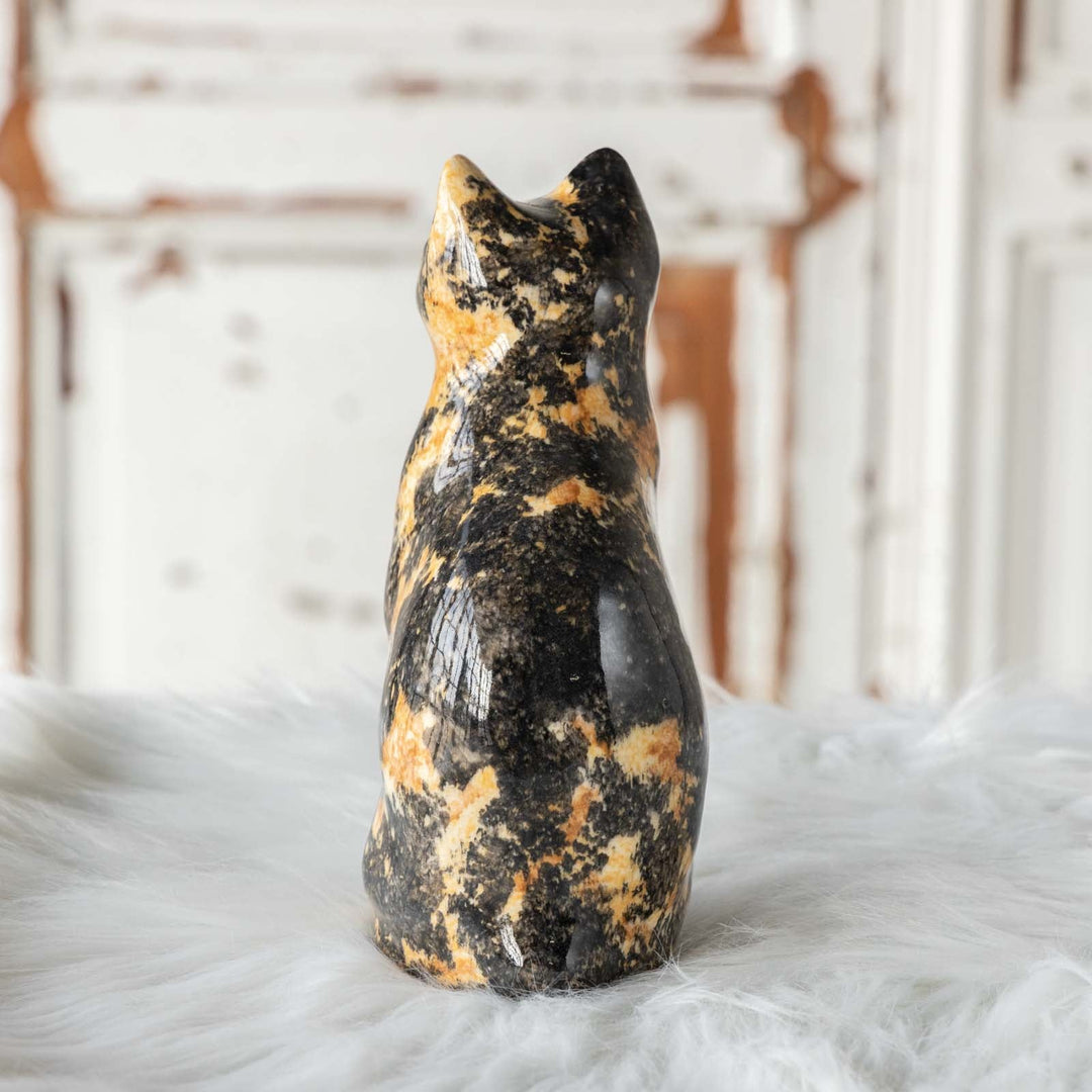 【Winstanley Cat ウィンスタンレイ キャット】◇ちょこんと座った姿が可愛らしい tortoiseshell トータスシェル /23L[m]
