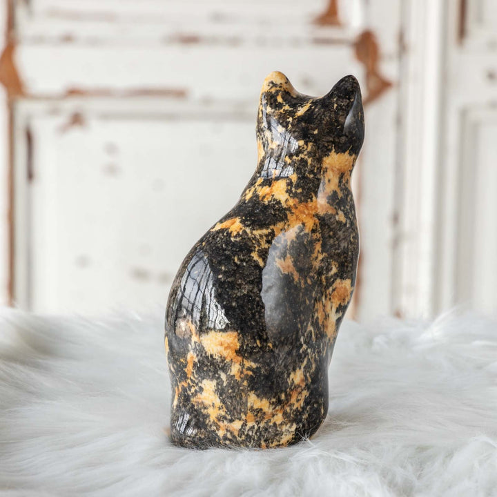 【Winstanley Cat ウィンスタンレイ キャット】◇ちょこんと座った姿が可愛らしい tortoiseshell トータスシェル /23L[m]