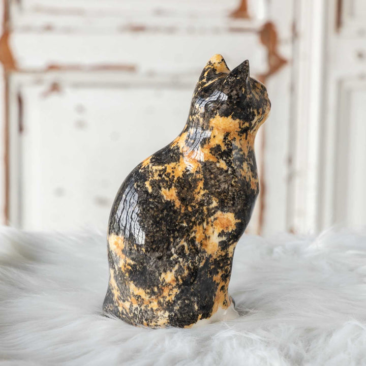 【Winstanley Cat ウィンスタンレイ キャット】◇ちょこんと座った姿が可愛らしい tortoiseshell トータスシェル /23L[m]