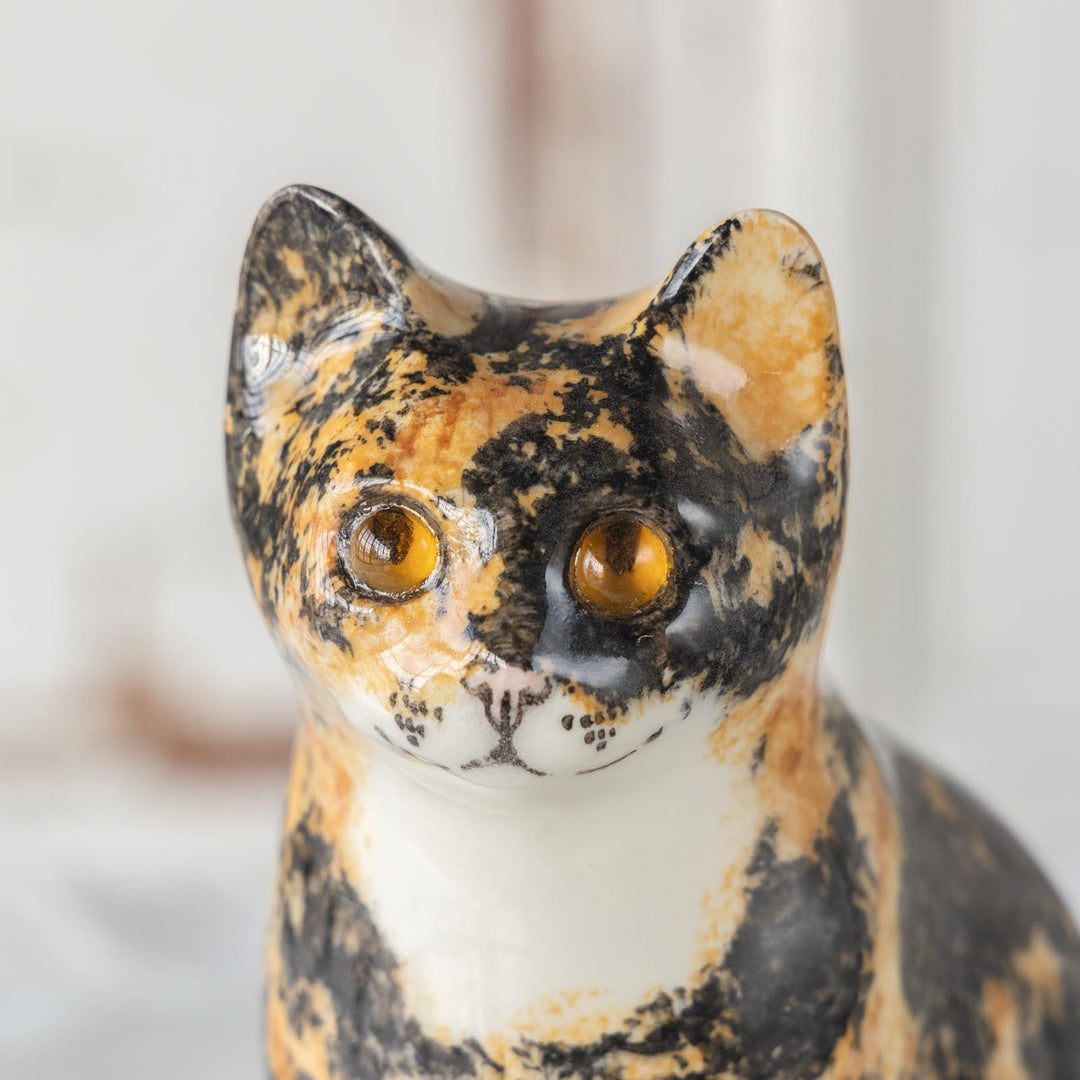 【Winstanley Cat ウィンスタンレイ キャット】◇ちょこんと座った姿が可愛らしい tortoiseshell トータスシェル /23L[m]