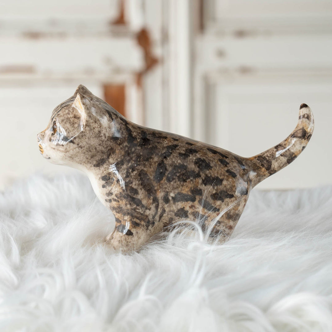 【Winstanley Cat ウィンスタンレイ キャット】◇尻尾や表情からワクワクしていそうな気持ちが伝わる Silver tabby シルバータビー /24E[m]