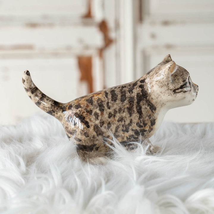 【Winstanley Cat ウィンスタンレイ キャット】◇尻尾や表情からワクワクしていそうな気持ちが伝わる Silver tabby シルバータビー /24E[m]