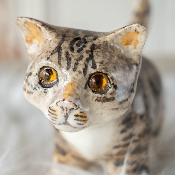 【Winstanley Cat ウィンスタンレイ キャット】◇尻尾や表情からワクワクしていそうな気持ちが伝わる Silver tabby シルバータビー /24E[m]