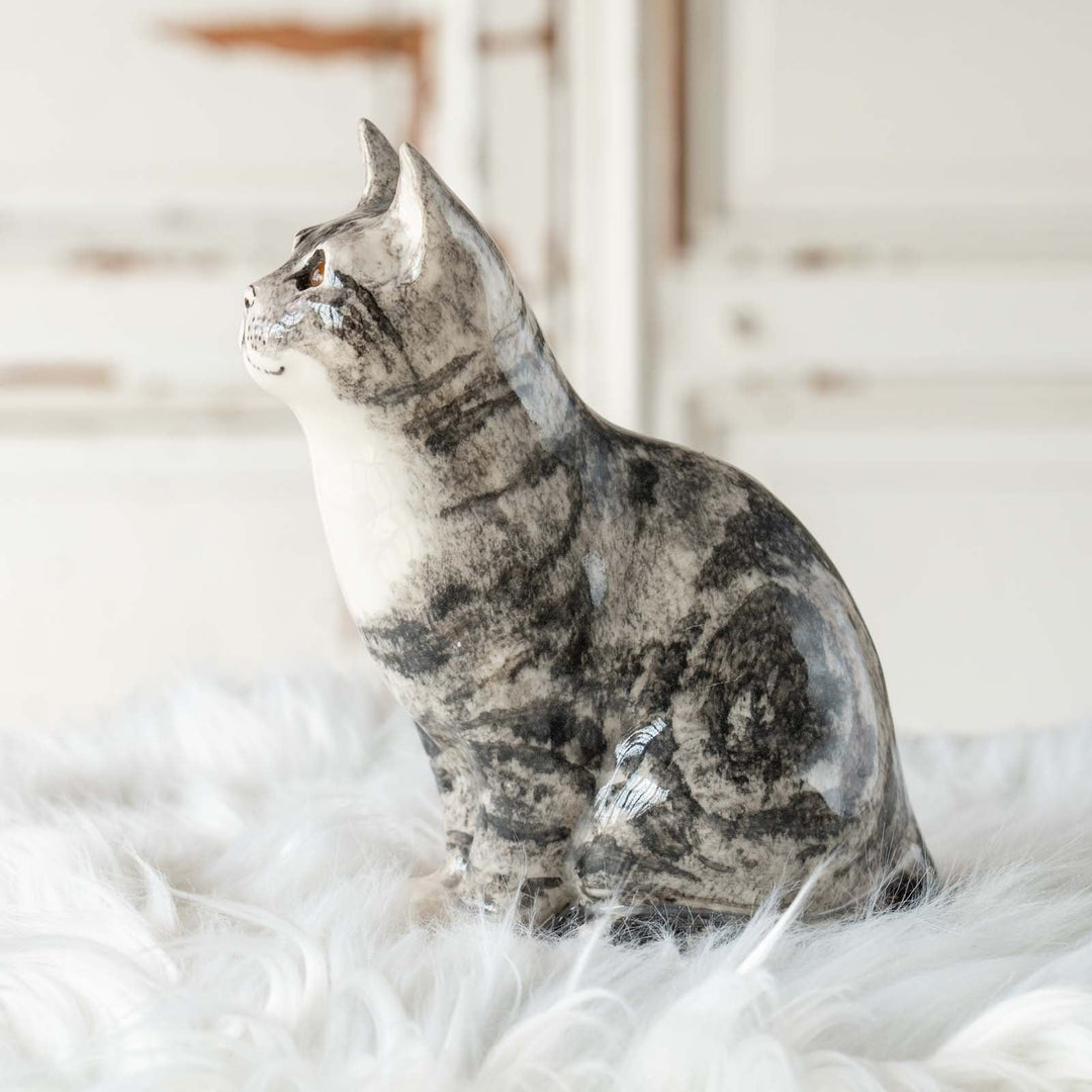 【Winstanley Cat ウィンスタンレイ キャット】◇じっと上を見つめる表情が印象的 Silver tabby シルバータビー /24E[m]