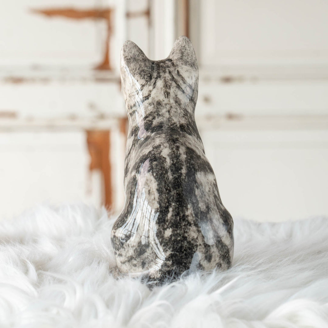 【Winstanley Cat ウィンスタンレイ キャット】◇じっと上を見つめる表情が印象的 Silver tabby シルバータビー /24E[m]