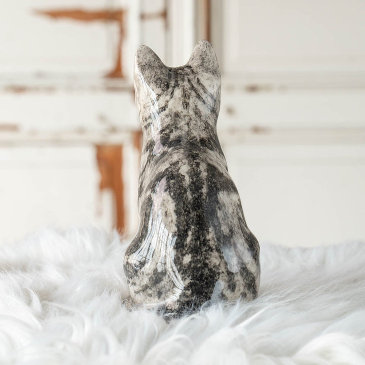 【Winstanley Cat ウィンスタンレイ キャット】◇じっと上を見つめる表情が印象的 Silver tabby シルバータビー /24E[m]