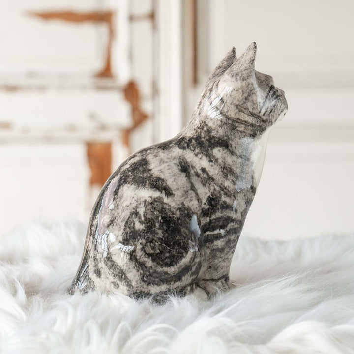 【Winstanley Cat ウィンスタンレイ キャット】◇じっと上を見つめる表情が印象的 Silver tabby シルバータビー /24E[m]