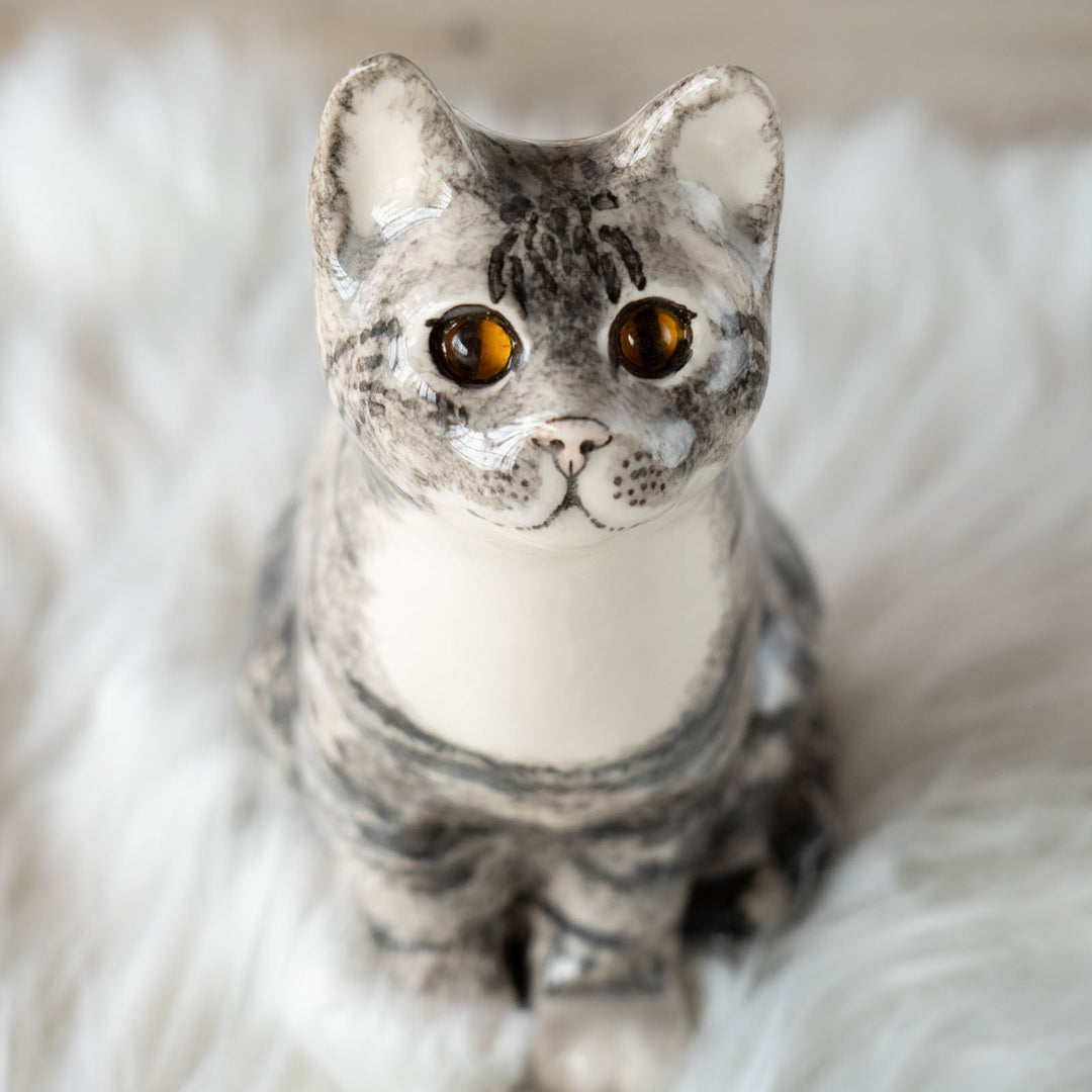 【Winstanley Cat ウィンスタンレイ キャット】◇じっと上を見つめる表情が印象的 Silver tabby シルバータビー /24E[m]