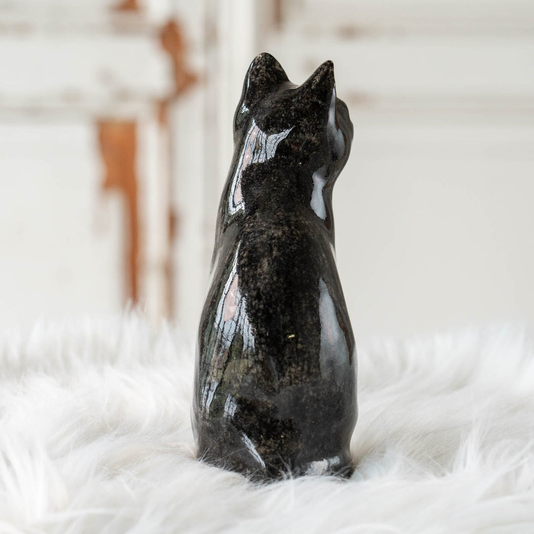 【Winstanley Cat ウィンスタンレイ キャット】◇両足をきゅっと揃えた上品な佇まい Tuxedo タキシード /24E[m]
