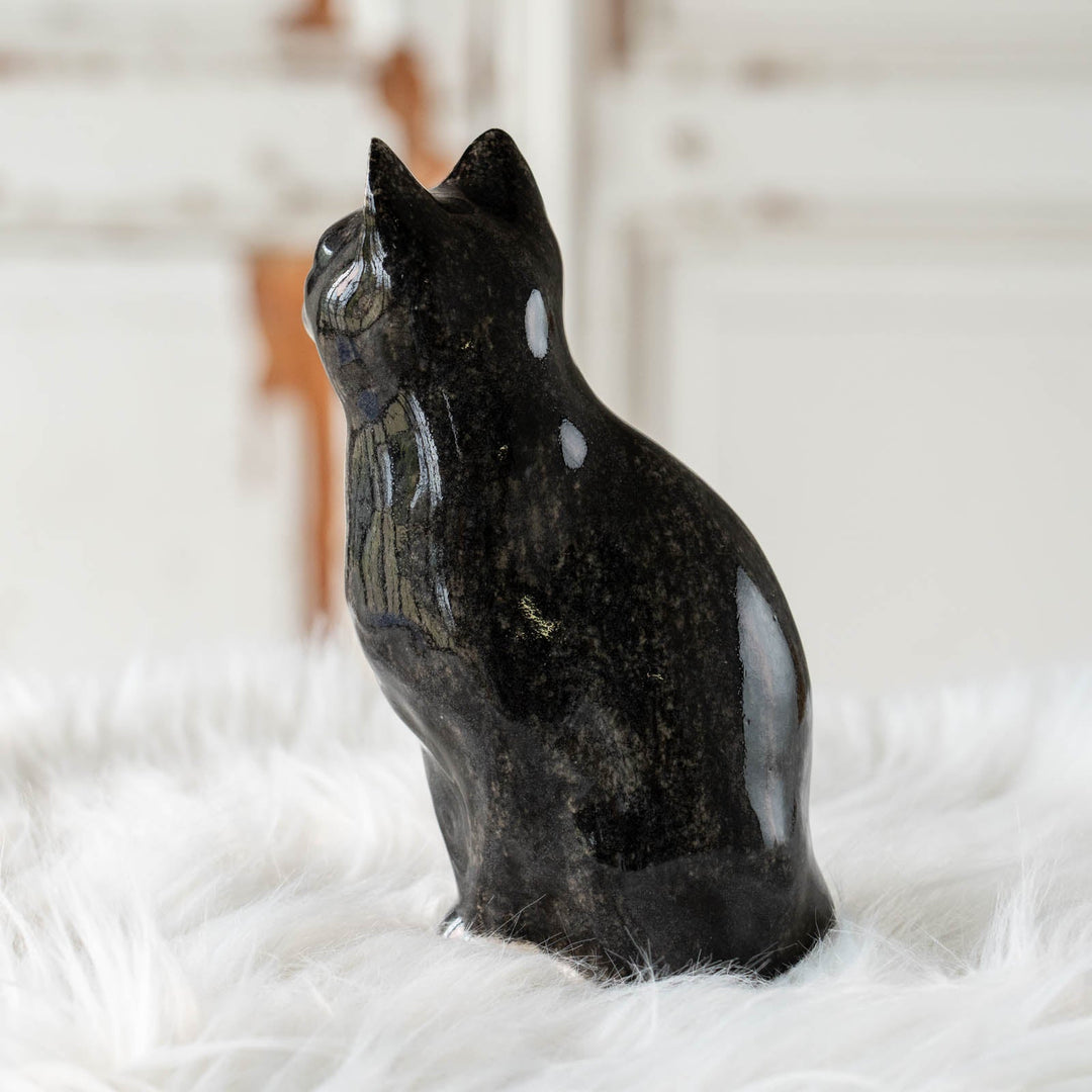 【Winstanley Cat ウィンスタンレイ キャット】◇両足をきゅっと揃えた上品な佇まい Tuxedo タキシード /24E[m]