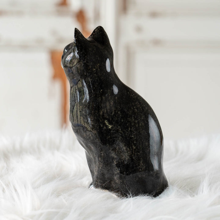 【Winstanley Cat ウィンスタンレイ キャット】◇両足をきゅっと揃えた上品な佇まい Tuxedo タキシード /24E[m]