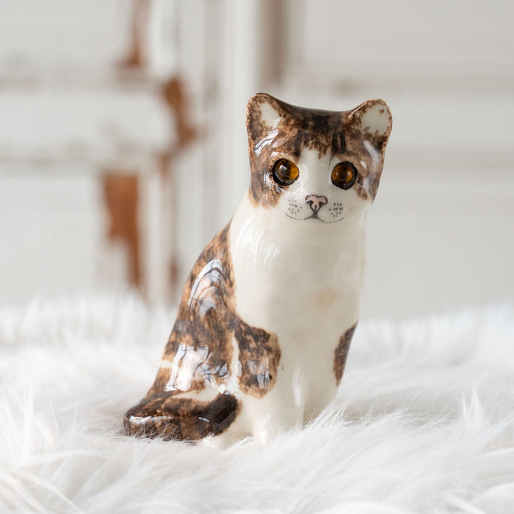 【Winstanley Cat ウィンスタンレイ キャット】◇きりっとした瞳でこちらを見つめる Brown tabby ブラウンタビー /24E[m]